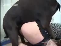 [ Beastiality Porn XXX ] Girl wishes a dog fuck